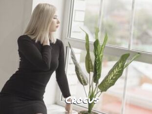 Crocus