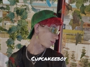 cupcakeeboy Ochranne Siete