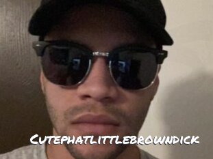 Cutephatlittlebrowndick