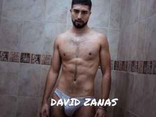 DAVID_ZANAS