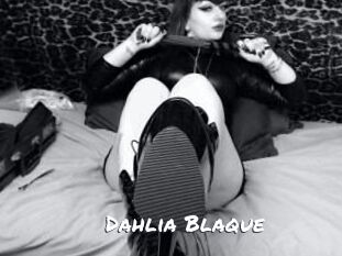 Dahlia_Blaque