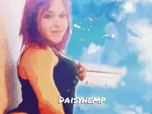 Daisy_hemp