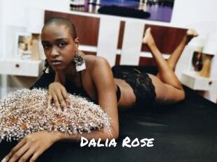 Dalia_Rose