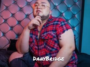 DanyBridge