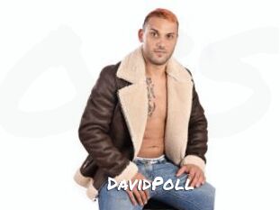 DavidPoll