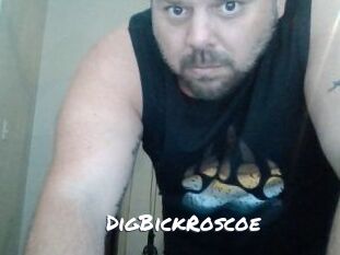 DigBickRoscoe