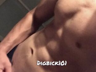 Digbick101