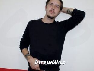 DitrihWild