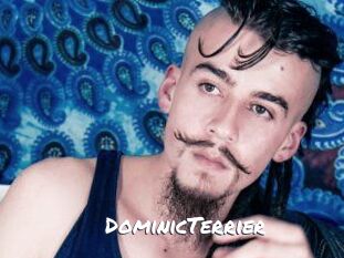 DominicTerrier