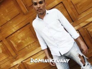 Dominikbunny