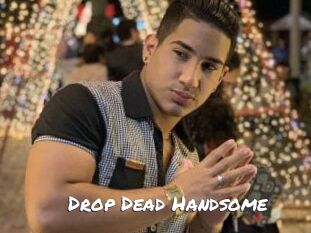 Drop_Dead_Handsome