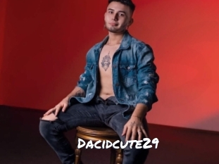 dacidcute29 Ochranne Siete