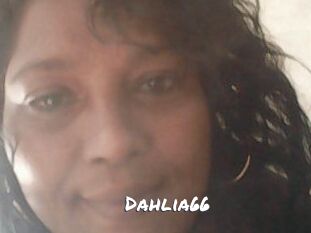Dahlia66