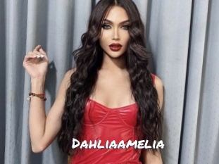 Dahliaamelia