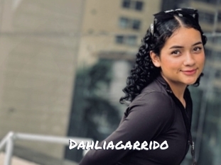Dahliagarrido