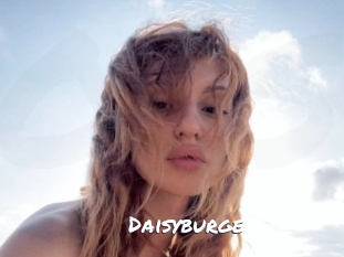 Daisyburge