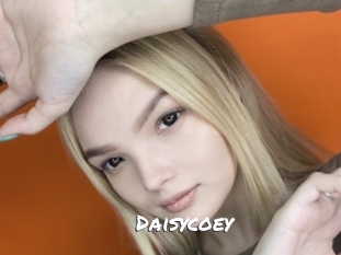 Daisycoey