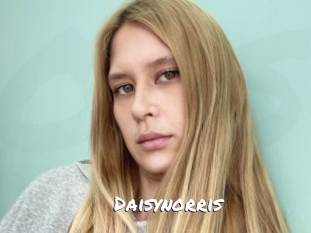 Daisynorris