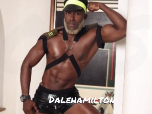 dalehamilton Ochranne Siete