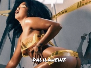 Dalilaheinz