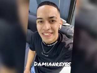 damianreyes Ochranne Siete