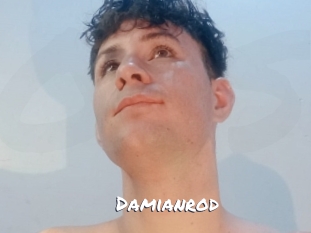 damianrod Ochranne Siete