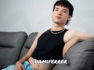 Damiferrer