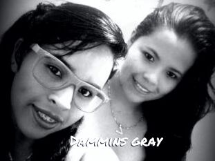 Dammins_gray