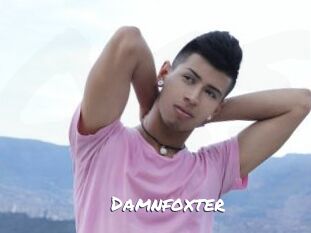 Damnfoxter