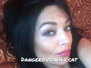 Dangerous_wild_cat