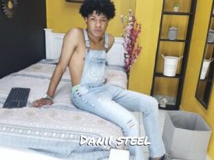 Danii_steel
