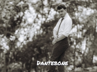 dantebone Ochranne Siete