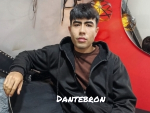 dantebron Ochranne Siete