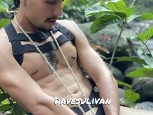 Davesulivan
