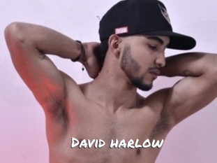 david_harlow Ochranne Siete