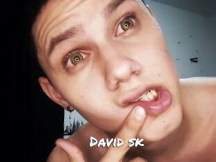 David_sk