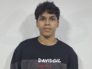 davidgil Ochranne Siete