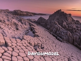 Davidhmodel