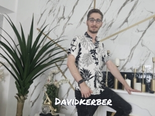 davidkerber Ochranne Siete