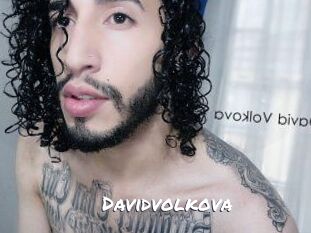 Davidvolkova