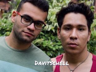 Davitschell