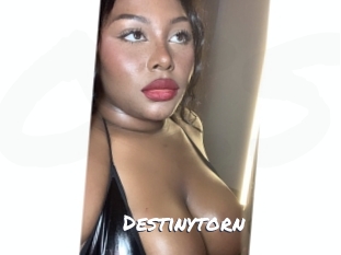 destinytorn Ochranne Siete