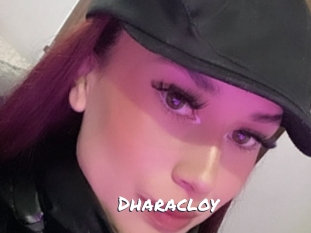 dharacloy Ochranne Siete