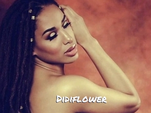 Didiflower