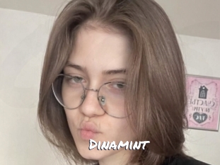 Dinamint