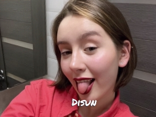 disun Ochranne Siete