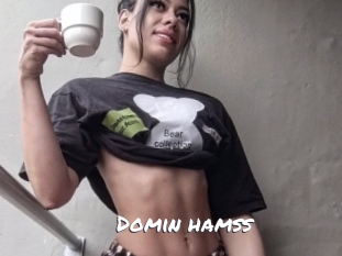 Domin_hamss