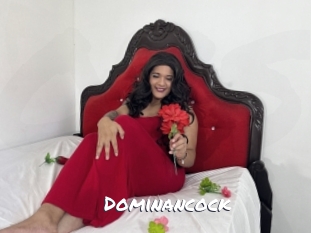 dominancock Ochranne Siete