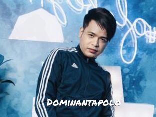Dominantapolo