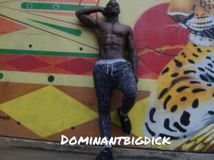 Dominantbigdick